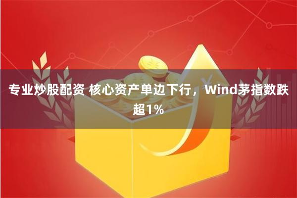 专业炒股配资 核心资产单边下行，Wind茅指数跌超1%